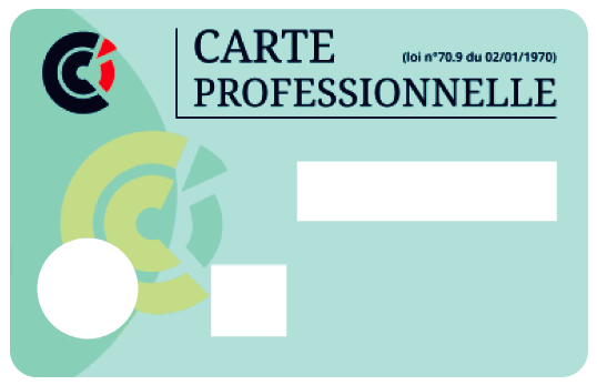 Logo Carte professionnelle